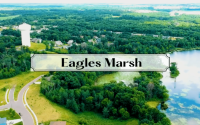 Eagles Marsh: Lush Landscapes and Lake Views Near Town Amenities