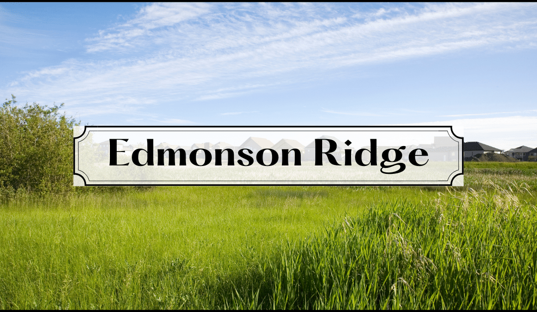 Edmonson Ridge: Brand New Monticello Development
