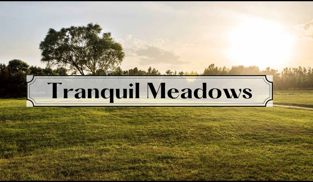 Tranquil Meadows: Scenic Neighborhood with Nearby Amenities