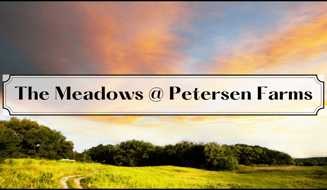 The Meadows @ Petersen Farms: Large Acreage Lots with Natural Open Spaces