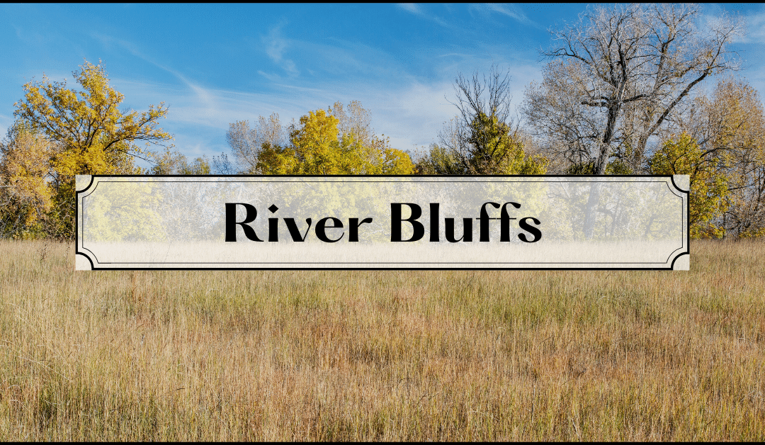River Bluffs: Beautiful Acreage Lots Near the River