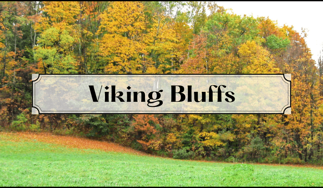 Viking Bluffs: Large Acreage Lots on the Rum River